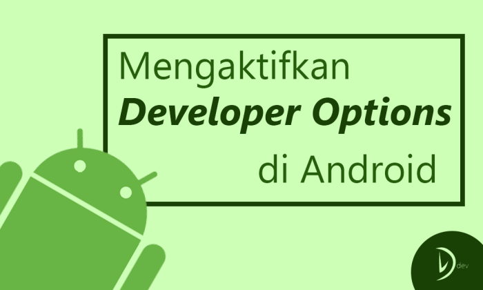 Fitur Developer yang Wajib Dicoba Semua Android User