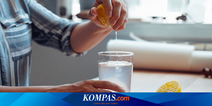 Gaya Hidup Minum Air Infused Lemon untuk Detox